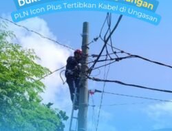 PLN Icon Plus SBU Regional Bali dan Nusa Tenggara Lakukan Kegiatan Perapihan Kabel di Ungasan