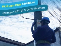 PLN Icon Plus Tertibkan Jaringan FAT di Cluster Sesetan